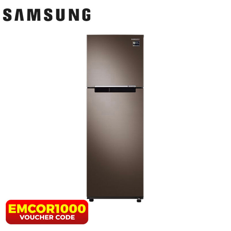 Samsung 9.1 cu ft Inverter Refrigerator RT25M4033DX/TC