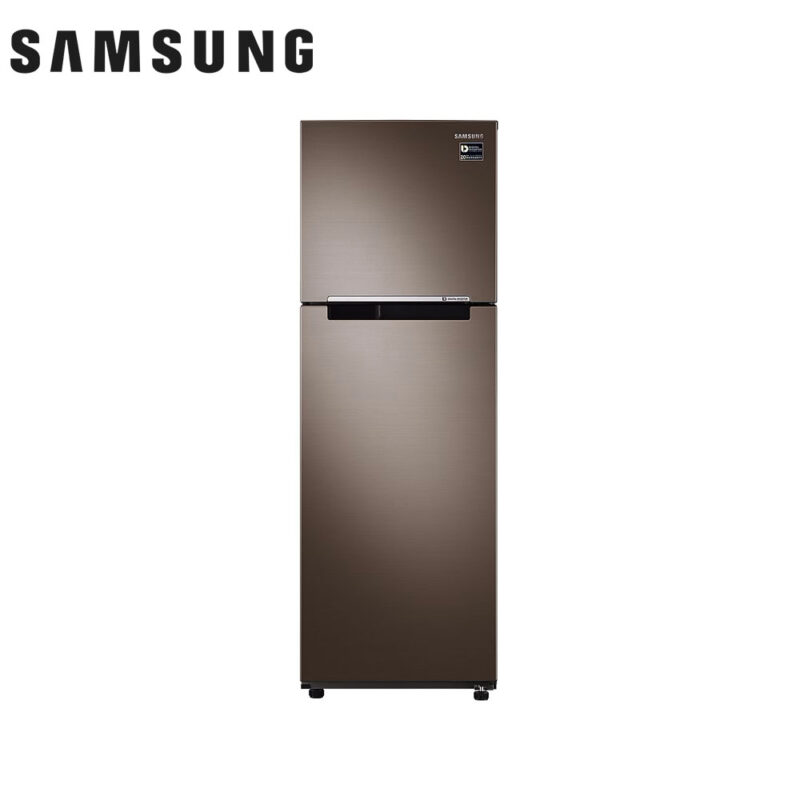 Samsung 9.1 cu ft Inverter Refrigerator RT25M4033DX/TC