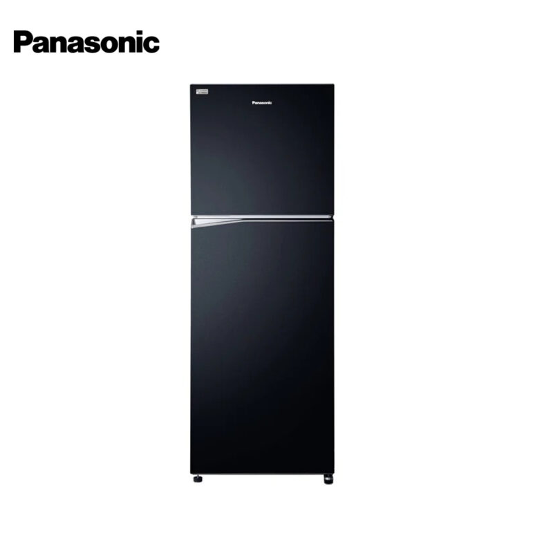 Panasonic 12.9 cu ft Two Door Refrigerator NR-TL381BPKP