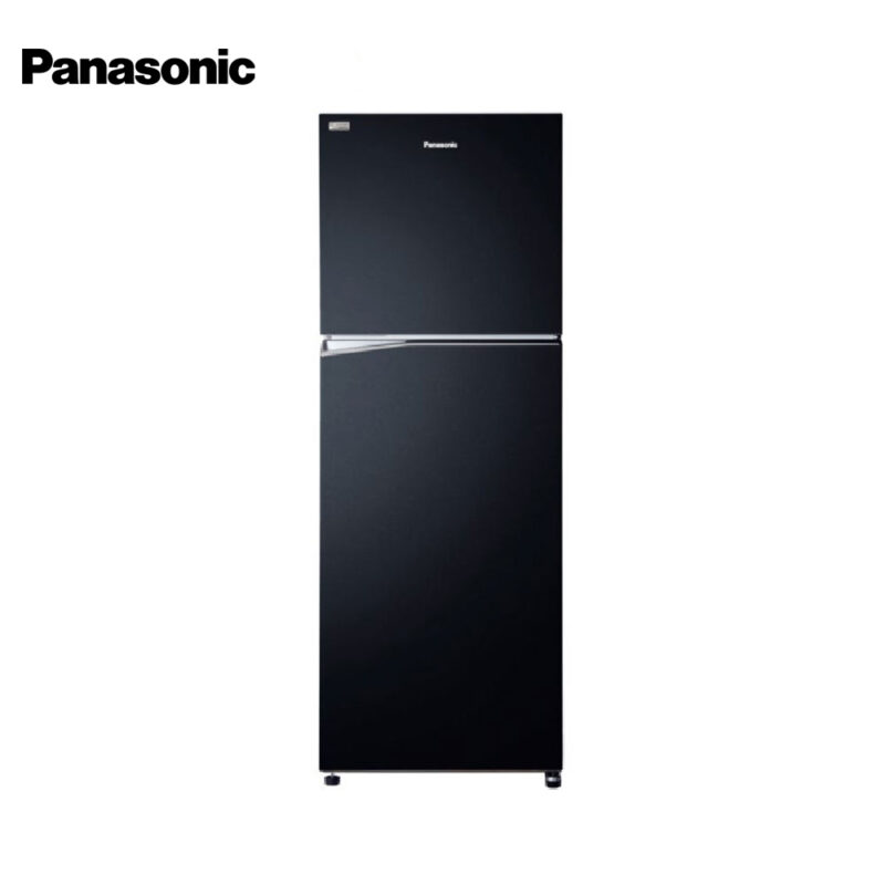Panasonic 12.9 cu ft Two Door Refrigerator NR-TL381BPKP