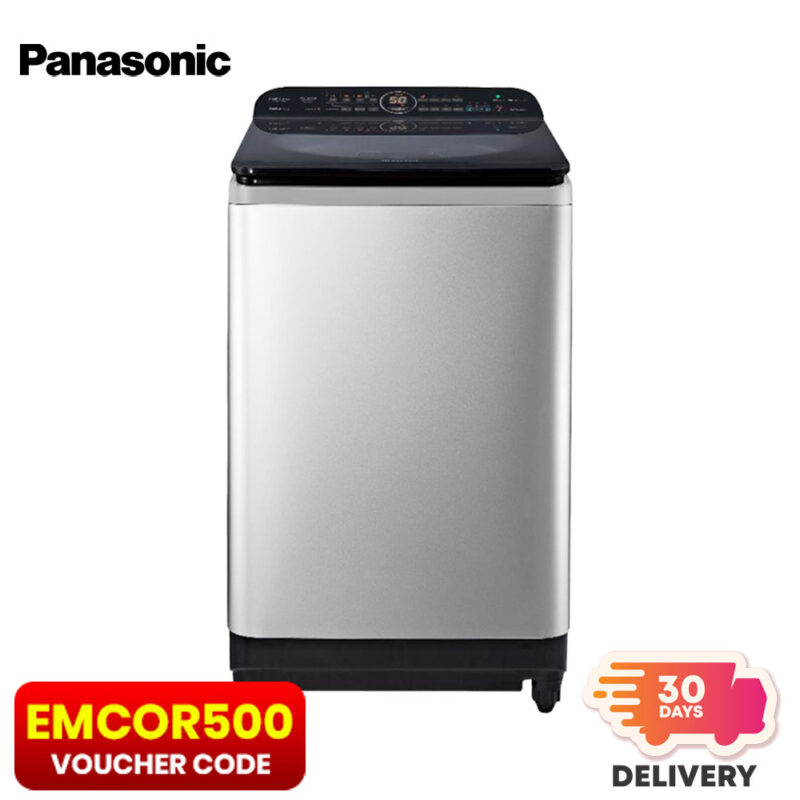 Panasonic 13.5 kg Top Load Washing Machine NA-FD13XR1LM