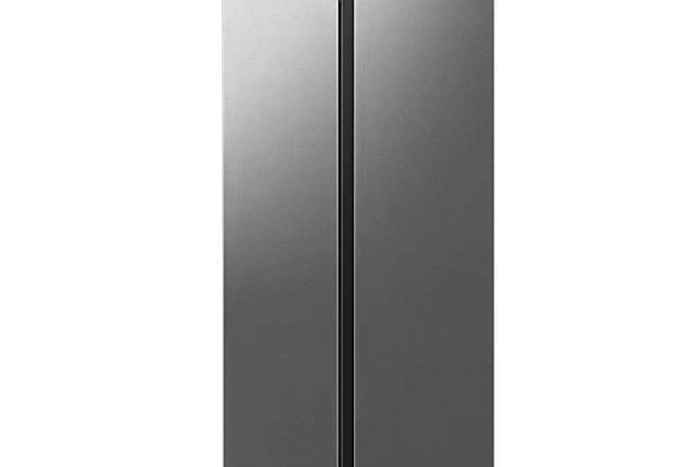 Samsung 20.5 cu.ft. Refrigerator SBS -AI Energy Mode RS57DG4000M9TC