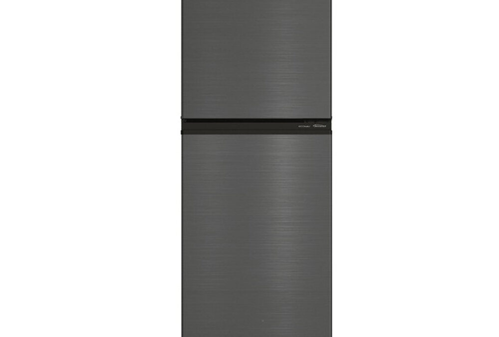 Panasonic 10 cu ft Direct Cool Inverter Refrigerator NR-BQ282VB