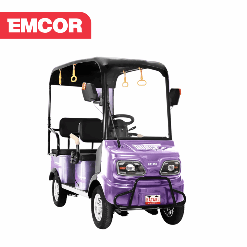 Hatasu E-Bike Buggy