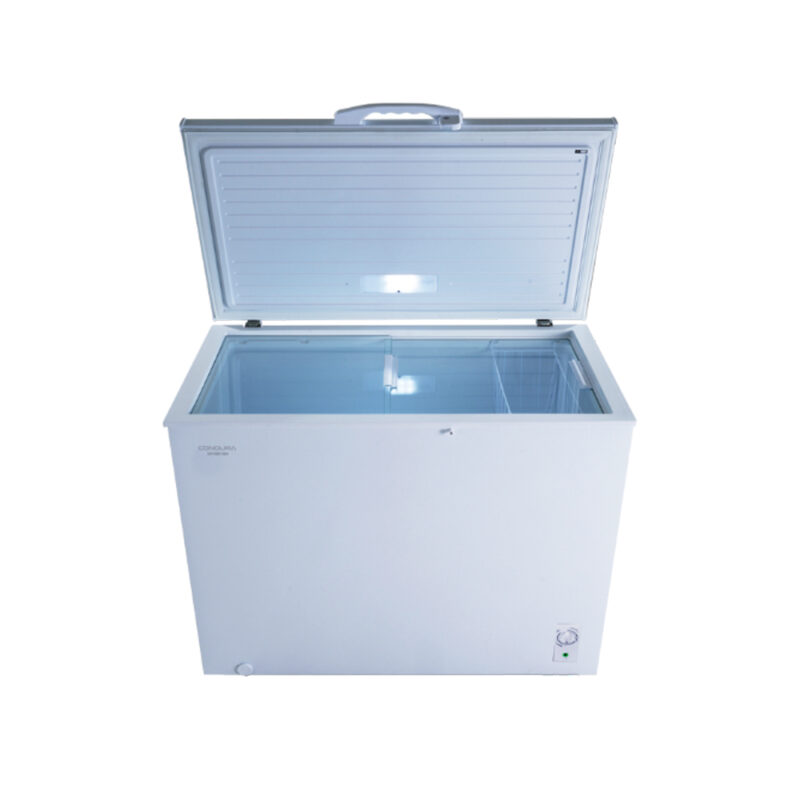 Condura 10.2 cu ft Negosyo Pro Inverter Chest Freezer CCF102DCi - Image 4