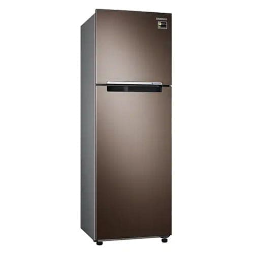 Samsung 9.1 cu ft Inverter Refrigerator RT25M4033DX/TC - Image 2