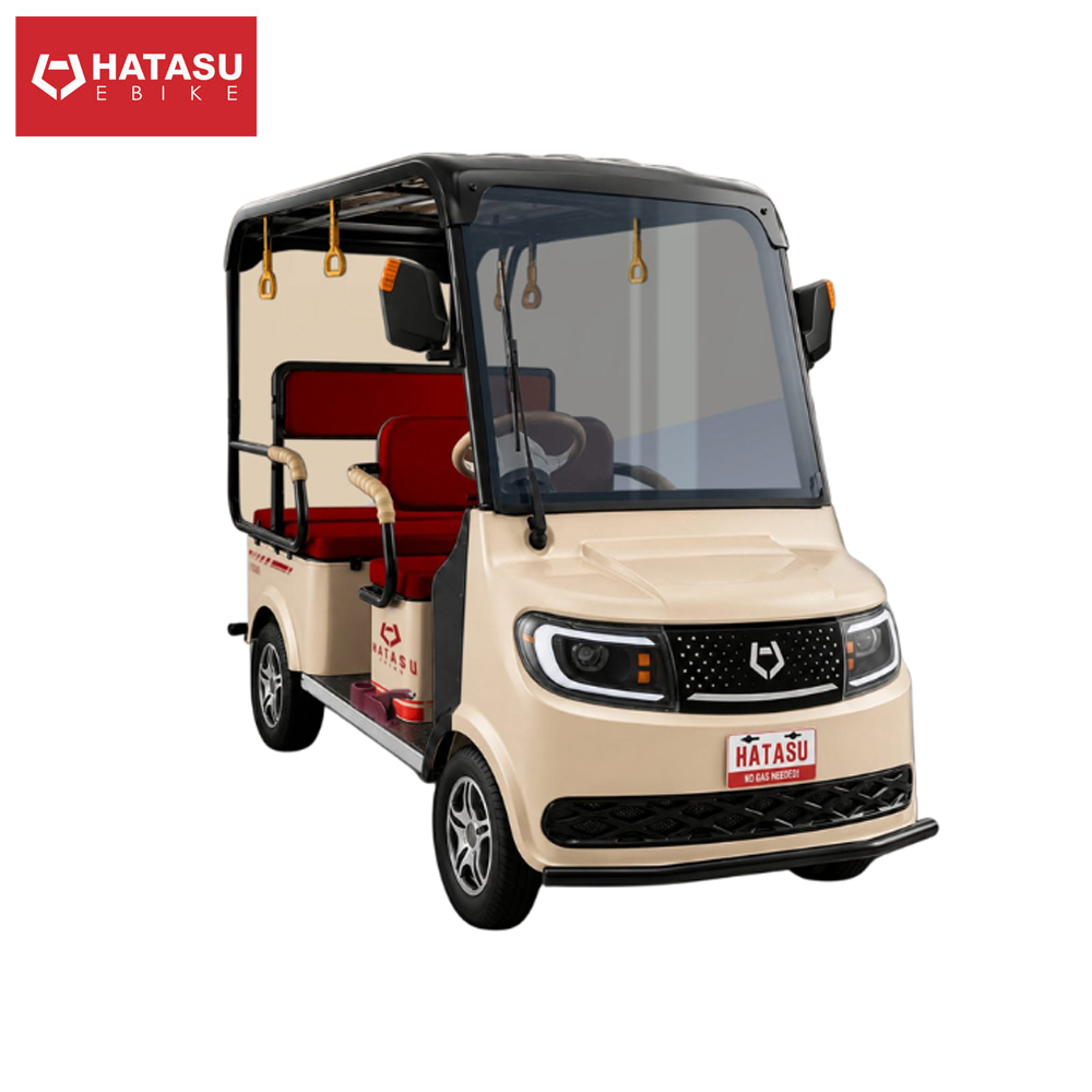 Hatasu E-Bike Buggy II